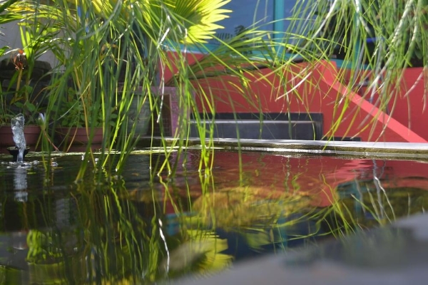 Hotel Piton Bungalows